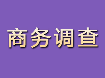 湘阴商务调查