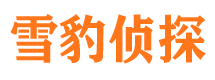 湘阴寻人公司